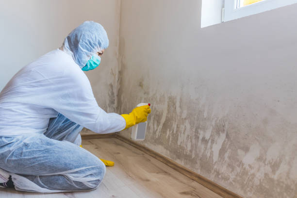 Licensed Mold Removal service in Wallops Island, VA - WQB Mold Removal
